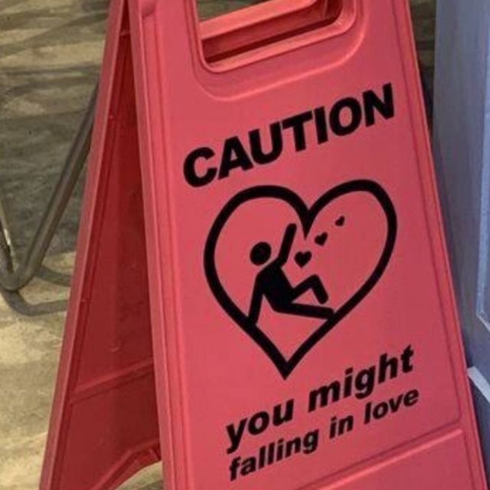 Meet your Posher, Carleigh